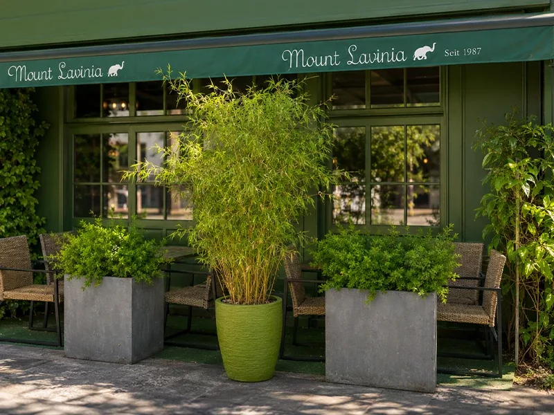 Mount Lavinia – Restaurant und grüne Terrasse am Jakobsplatz
