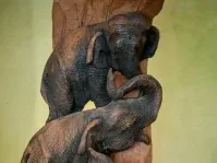 Geschnitzte Elefantenfigur aus Holz im Mount Lavinia