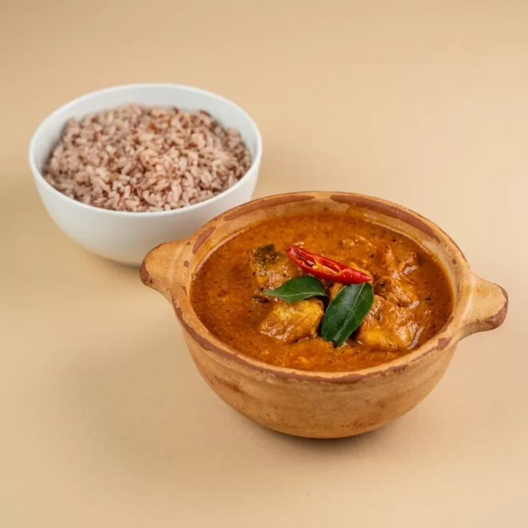 Ayam Malay Gravy (hot 4-6) — Foto aus unserer Küche